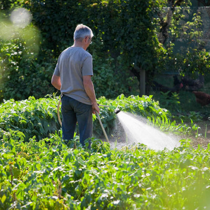 Stick sprinklers premium