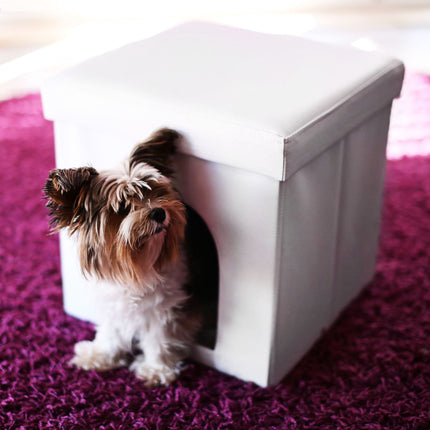 Stool for dog boxes