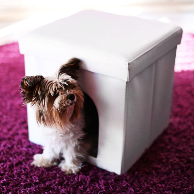 Stool for dog boxes