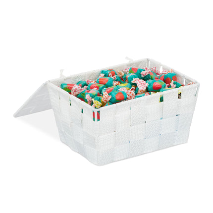 Storage basket with lid