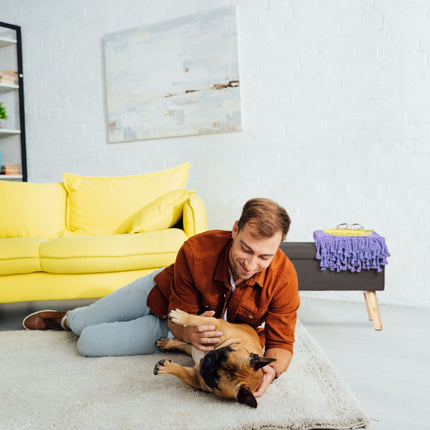 Storage bench
