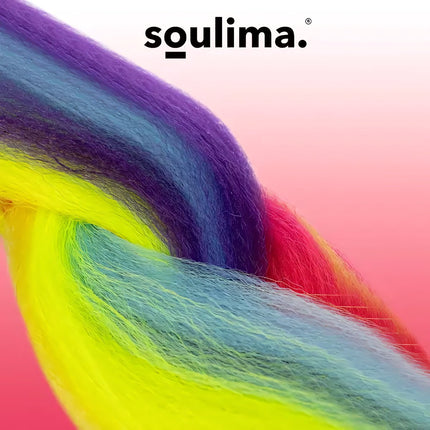 Synthetic hair rainbow braids Soulima 23571