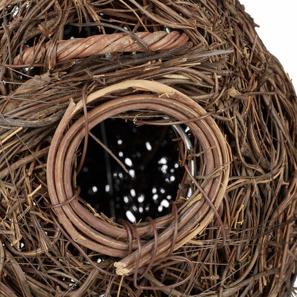 Tear Shaped Bird Nest