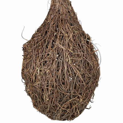 Tear Shaped Bird Nest