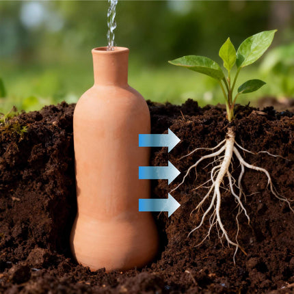 Terracotta Plant Watering Ollas, 1L, Set of 2