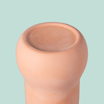 Terracotta Plant Watering Ollas, 1L, Set of 2