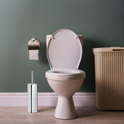 Toilet brush holder wall