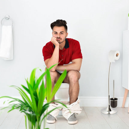 Toilet brush set with 2 + 4 extra heads