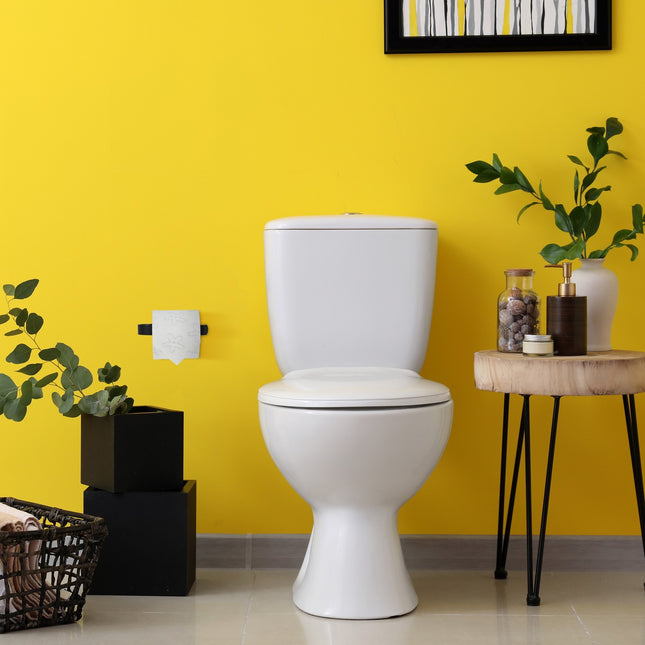 Toiletrolhouder zwart