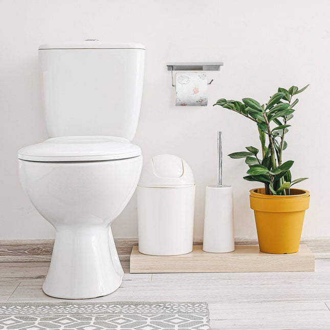 Toilet paper holder with shelf
