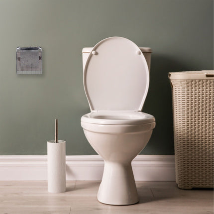 Toilet paper holder with shelf