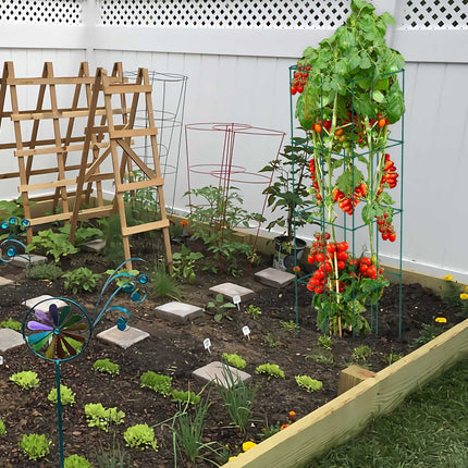 Tomato Cages, 6-Pack Square 39.4 in PVC-Coated Steel