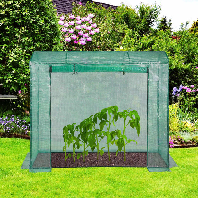 Tomato Greenhouse 170x200x80 cm