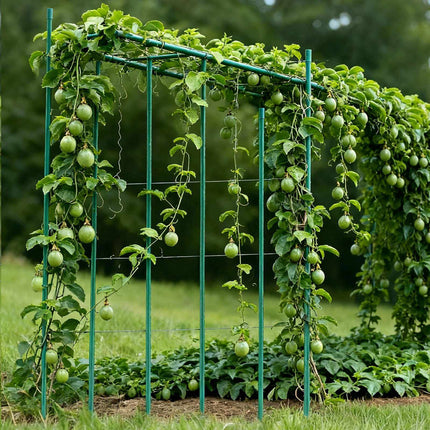Tomato Stakes 25 Pack, 2100 mm PE Coated Steel, Non Slip
