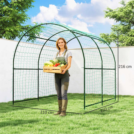 Tomato Trellis Arch, Steel, 216 cm, Dark Green