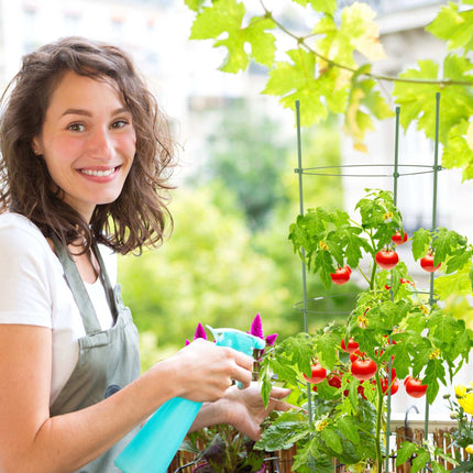 Tomatoes Climbing aid Set of 2