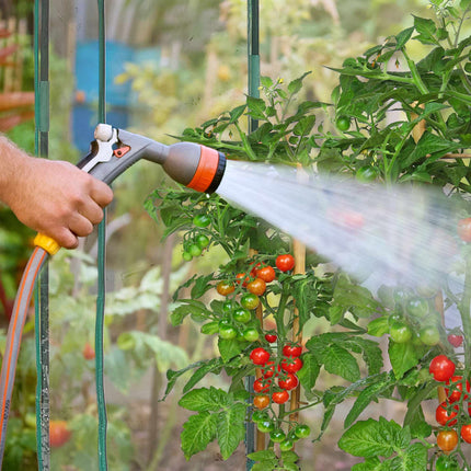 Tomato greenhouse made of PVC plastic