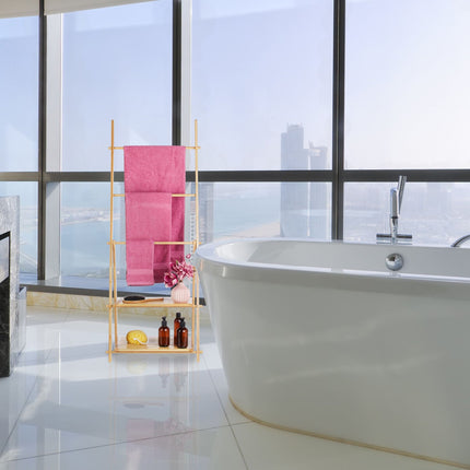 Towel rack with 2 shelves