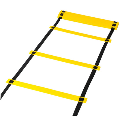 Training ladder
