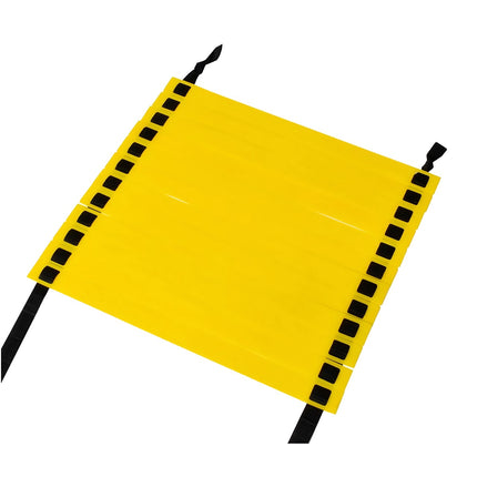 Training ladder