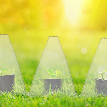 Transparent Plant Protection Cones, Set of 32