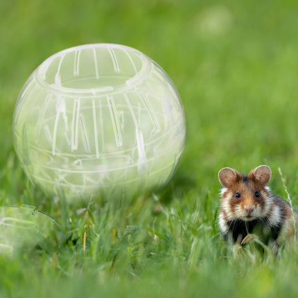 Transparent hamster ball Ø 14 cm