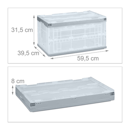 Transparent transport box with lid