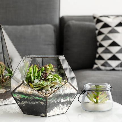 Transparent wind light set of 12