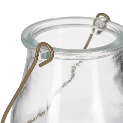 Transparent wind light set of 12