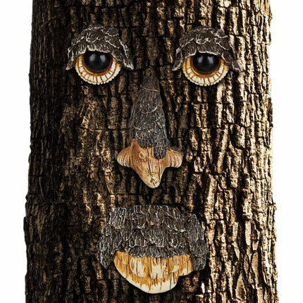 Tree face Nature spirit