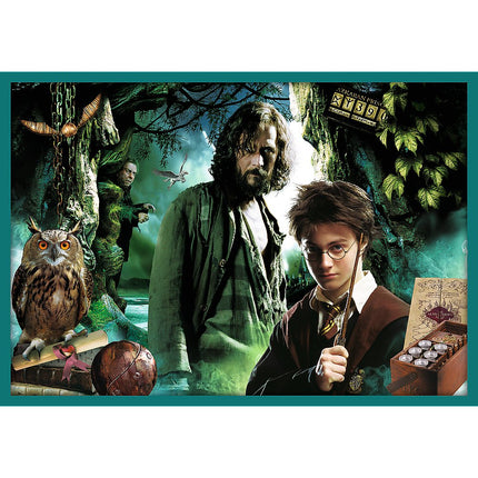 Trefl Harry Potter Puzzle 10 In 1 Set