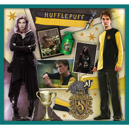 Trefl Harry Potter Puzzle 10 In 1 Set