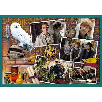 Trefl Harry Potter Puzzle 10 In 1 Set