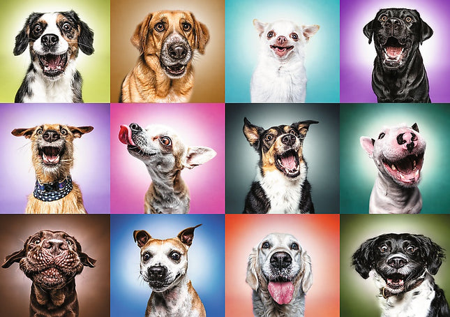 Trefl Prime Puzzle Funny Dogs Faces, 1000 Pcs
