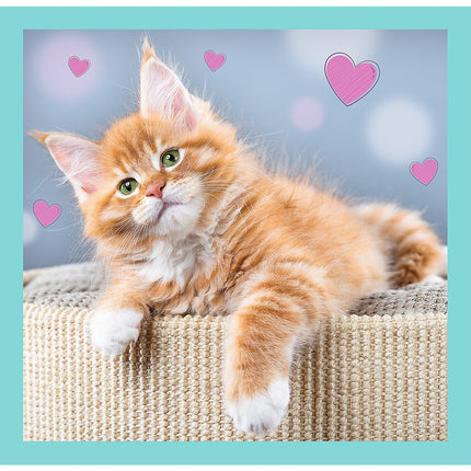 Trefl Puzzle 3 In 1 Set Kittens
