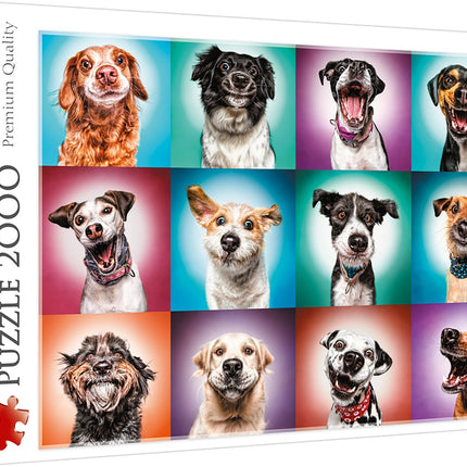 Trefl Puzzle Dogs 2000 Pcs
