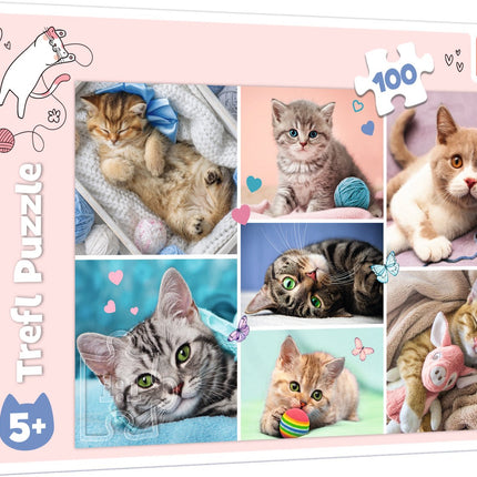 Trefl Puzzle In The Cats World 100 Psc