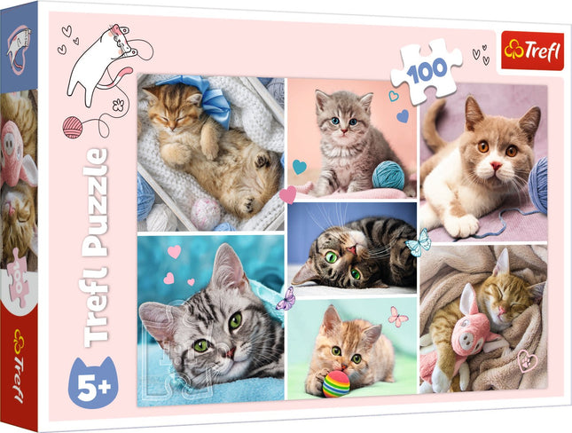 Trefl Puzzle In The Cats World 100 Psc