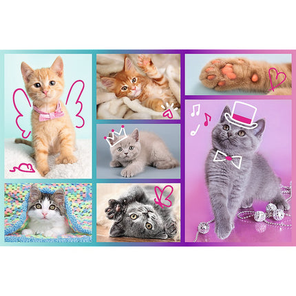 Trefl Puzzle Kittens 60 Pcs