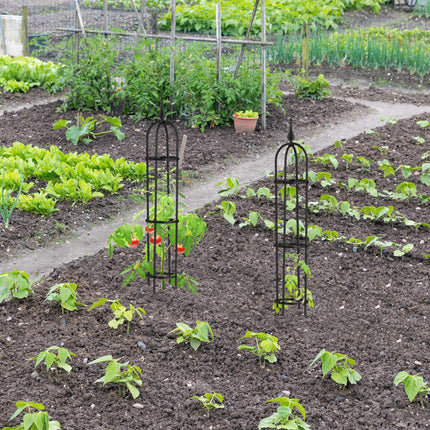 Trellis 100 cm, set of 2