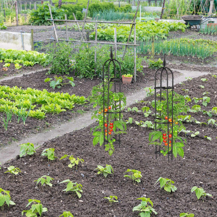 Trellis 100 cm, set of 2
