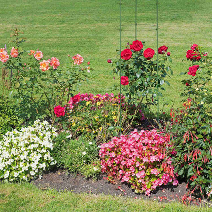 Trellis 150 cm set of 3