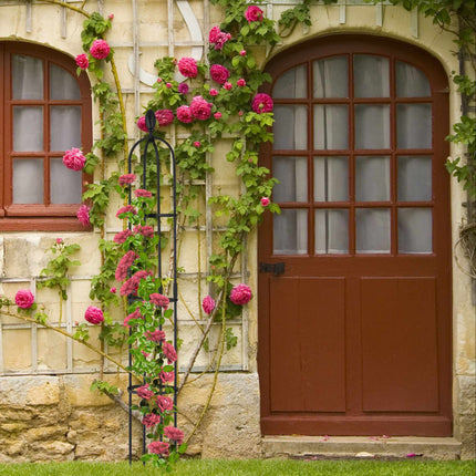 Trellis 160 cm, set of 2