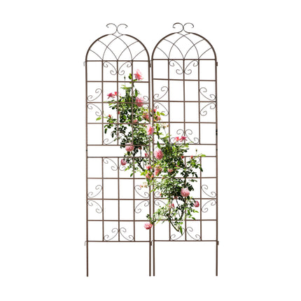 Trellis 220 cm set of 2 brown