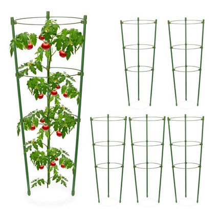 Trellis 45 cm set of 6
