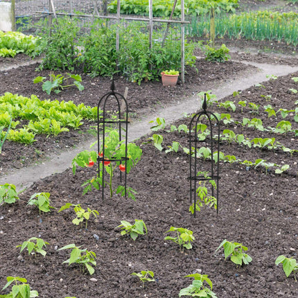 Trellis 70 cm, set of 2