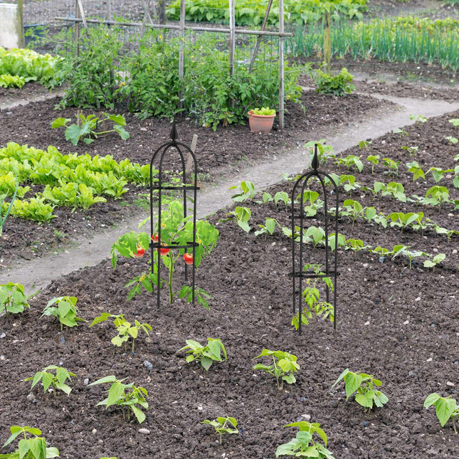 Trellis 70 cm, set of 2