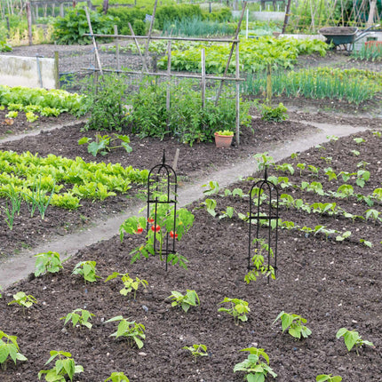 Trellis 85 cm, set of 2