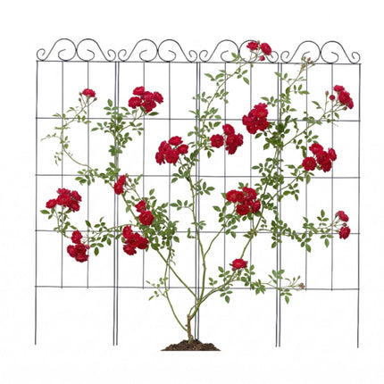 Trellis Set of 4 for Climbing Plants, Metal Support