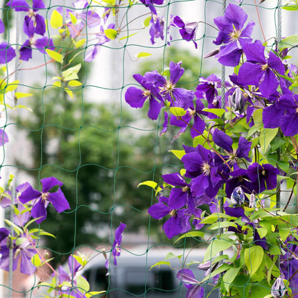 Trellis net 180 x 500 cm set of 3